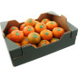 CLEMENTINE NADORCOTT 10KG